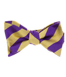 Purple & Gold Wide Stripe Silk Bow Tie