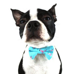 The Max Dog Bow Tie