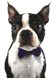 Ella Bing Dog Bow Ties The Mugsy Dog Bow Tie