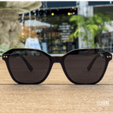 Polarized Sunglasses No. 450