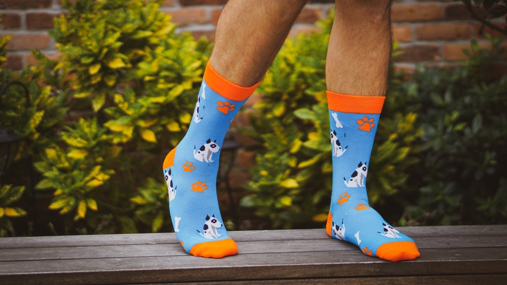 ELLA BING Dress Socks Puppy Socks - Graphic Crew Dress Socks