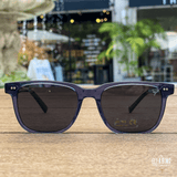 Polarized Sunglasses No. 449