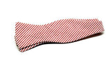 Ella Bing Signature Cloth Bow Ties Seersucker Bow Tie No. 884