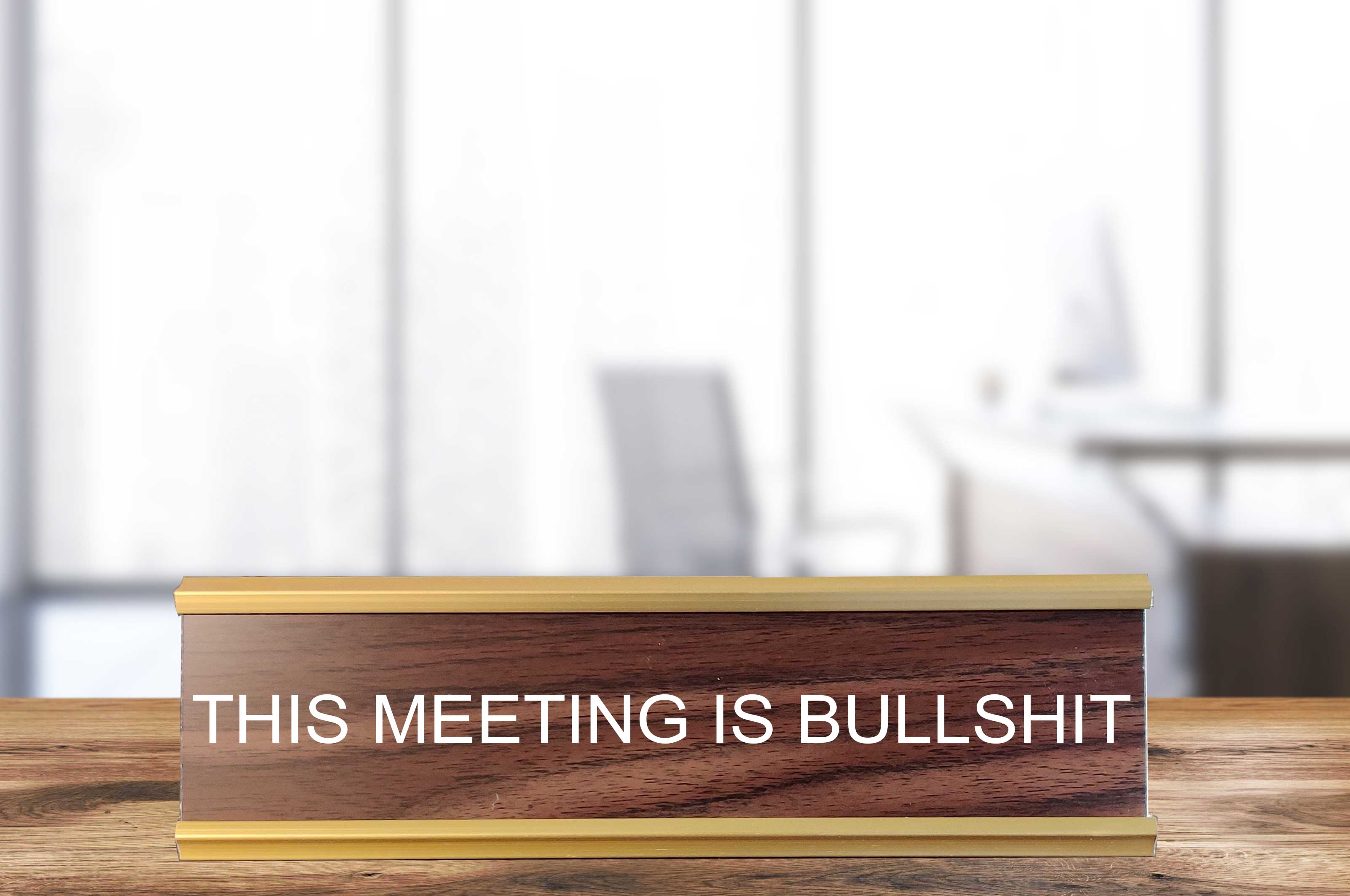 PMF NSFW NAMEPLATES This Meeting is Bull Sh*t - NSFW Nameplate